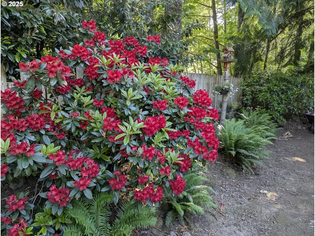 $175,000 | 25222 East Welches Road, Unit 12D, Welches, OR 97067