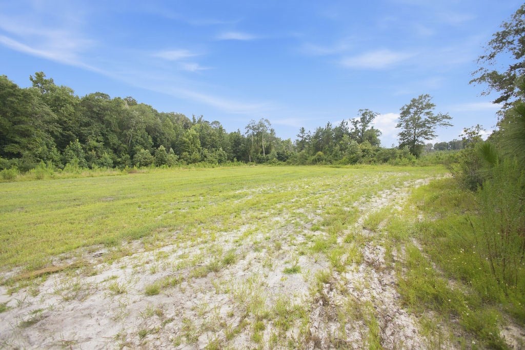 1138 Power Dam Road Newton, AL 36352 - Photo 78 of 111 Gallery Image 78