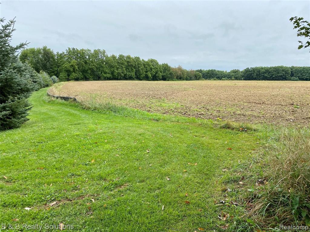 7342 McTaggart Road North Branch, MI 48461 - Photo 3 of 9