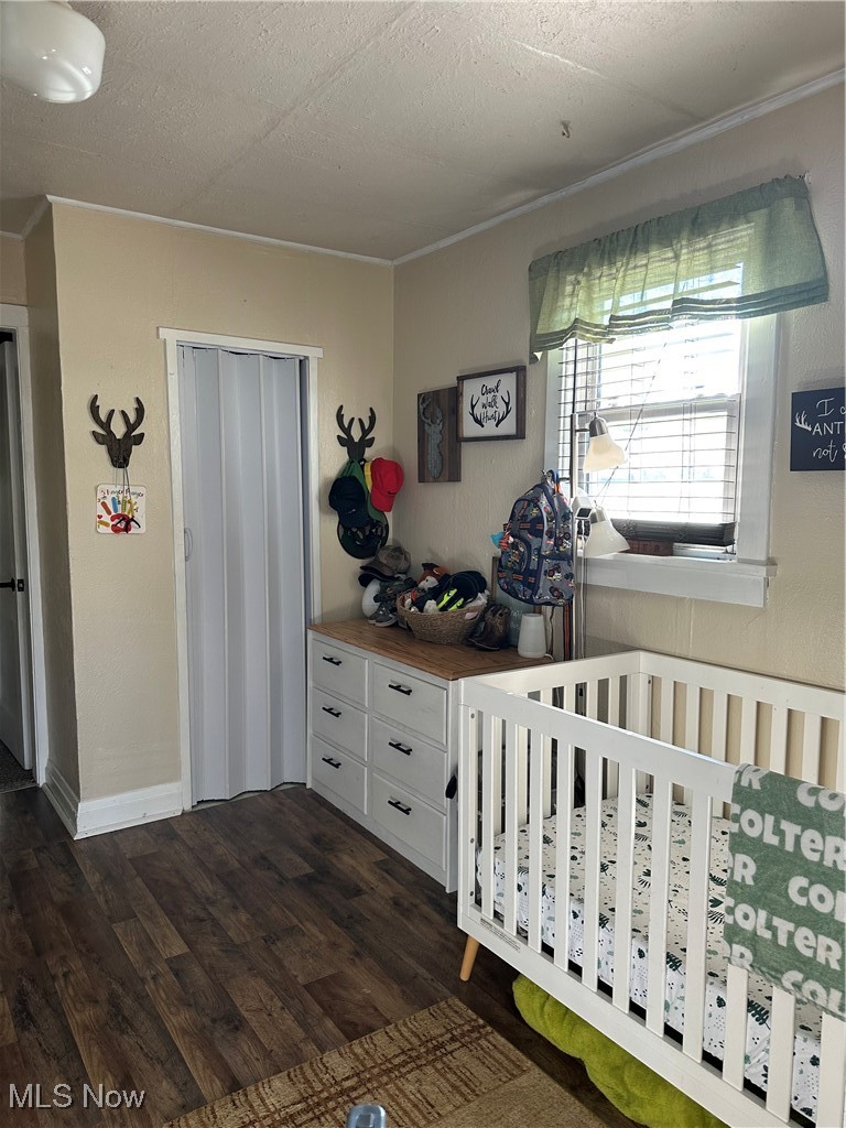 422 Moose Ridge Road Woodsfield, OH 43793 - Photo 28 of 43 Bedroom featuring dark wood-type flooring, a closet, a textured ceiling, and a nursery area