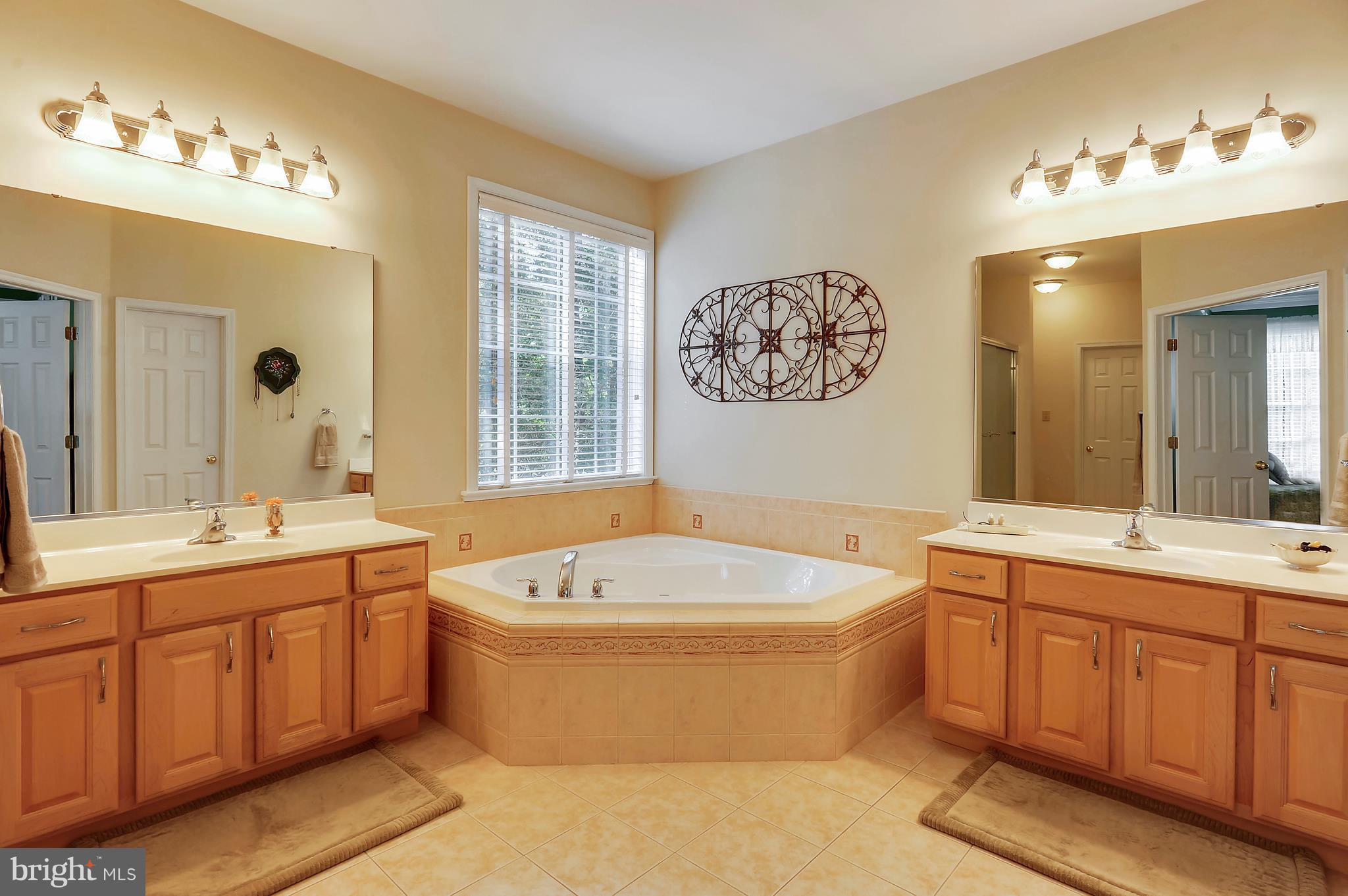 9250 Gunston Road Welcome, MD 20693 - Photo 14 of 30 Bath (Master)