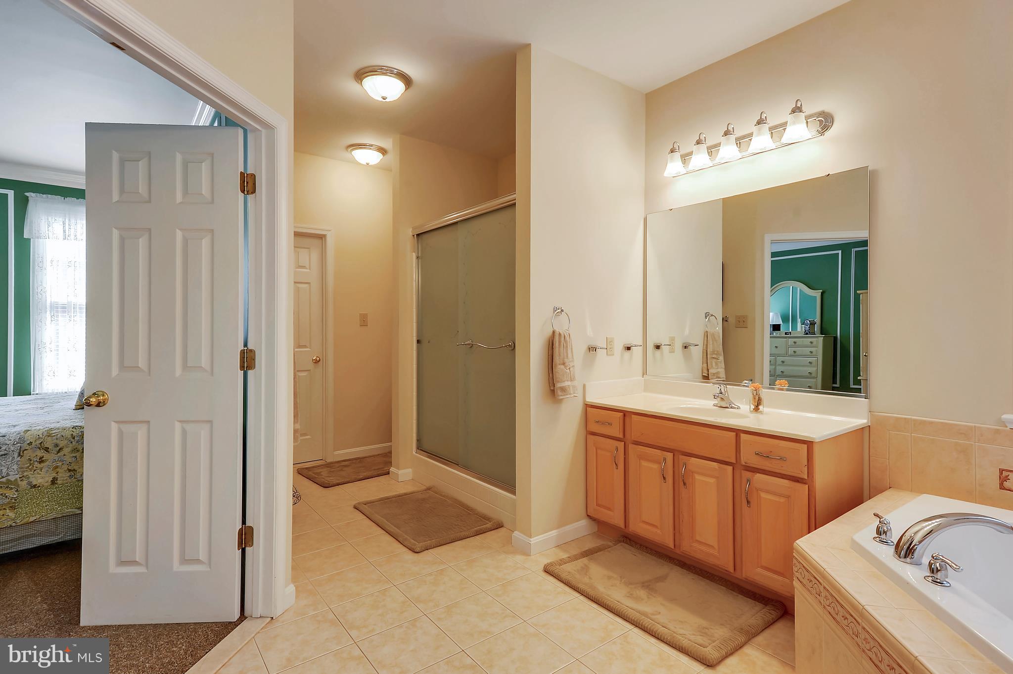 9250 Gunston Road Welcome, MD 20693 - Photo 15 of 30 Bath (Master)