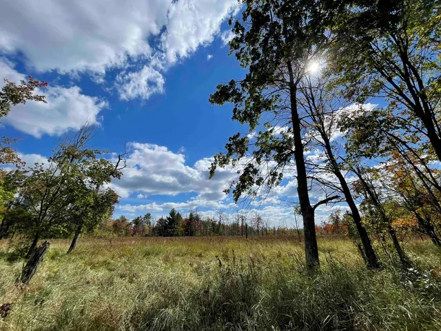 $379,000 | 0 Crescent Warrens Wi 54666, Warrens, WI 54666