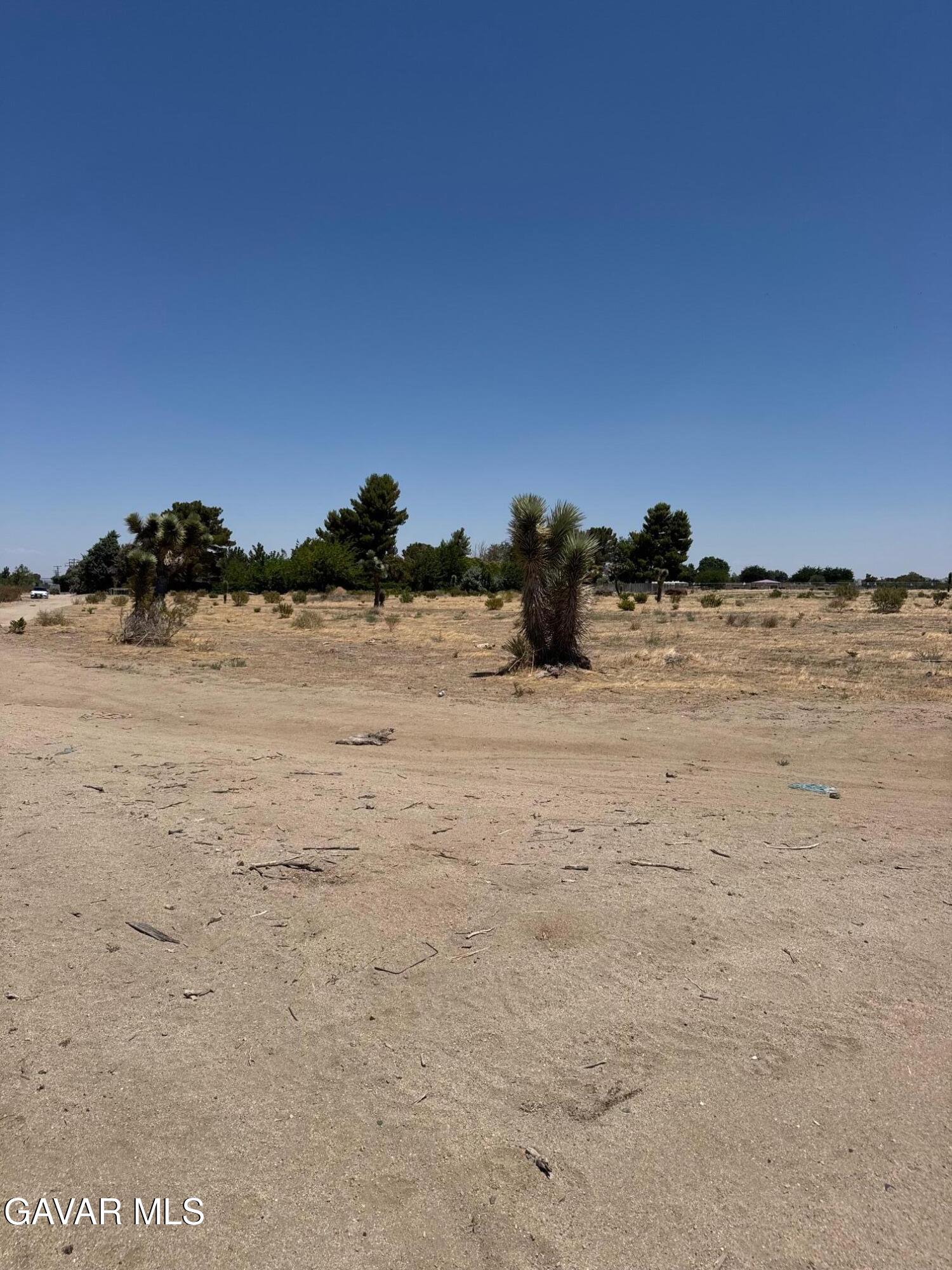 92nd Avenue East Littlerock, CA 93543 - Photo 2 of 4 a view of ocean view