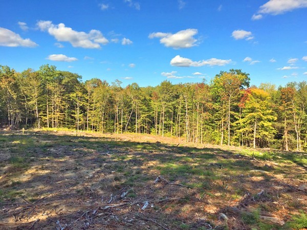 Lot 3 Locke Hill Road Wendell, MA 01379 - Photo 14 of 20 Gallery Image 14