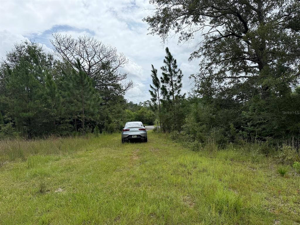 978 Joiner Road Chipley, FL 32428 - Photo 17 of 21