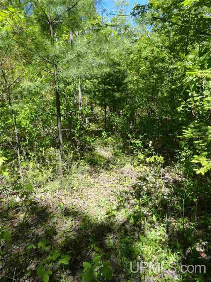 40 Two 2 Mile Creek Road Channing, MI 49815 - Photo 12 of 14 Gallery Image 12