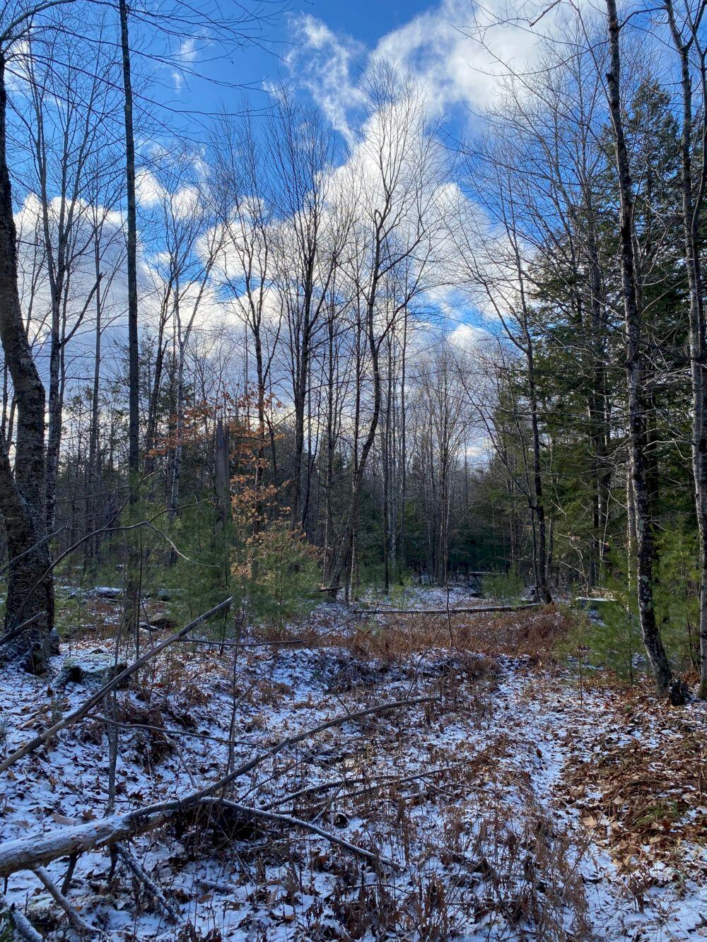 M6-l20 Corson Road Mercer, ME 04957 - Photo 8 of 19 IMG_5907