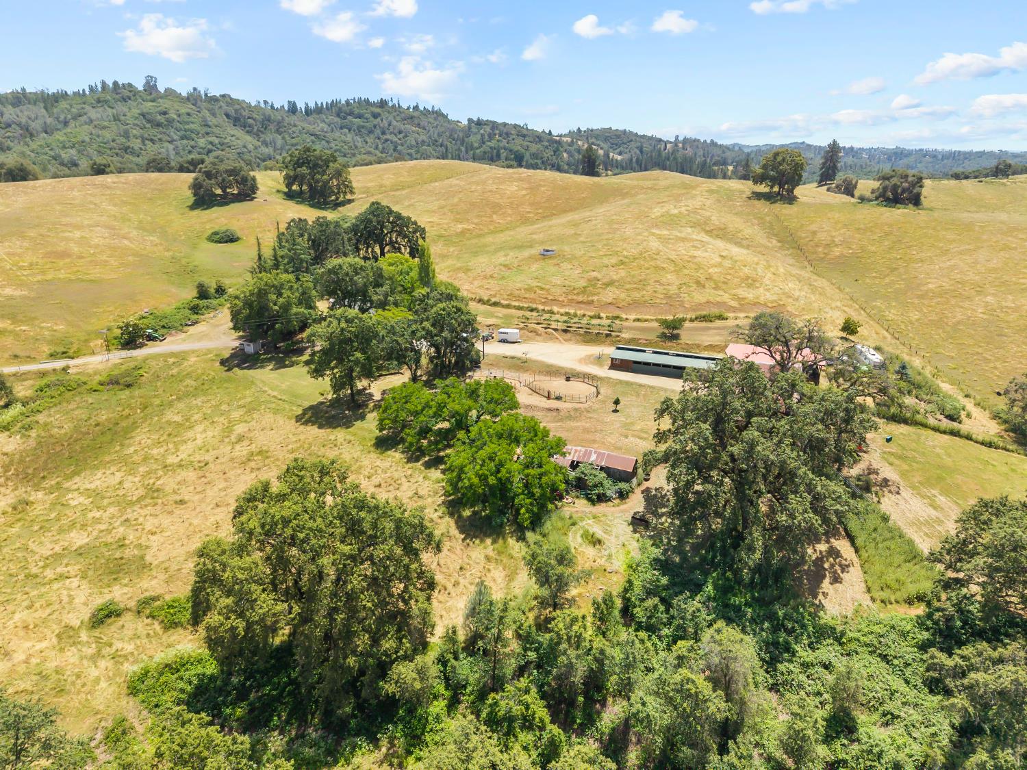 12850 Fiddletown Road Plymouth, CA 95669 - Photo 87 of 88