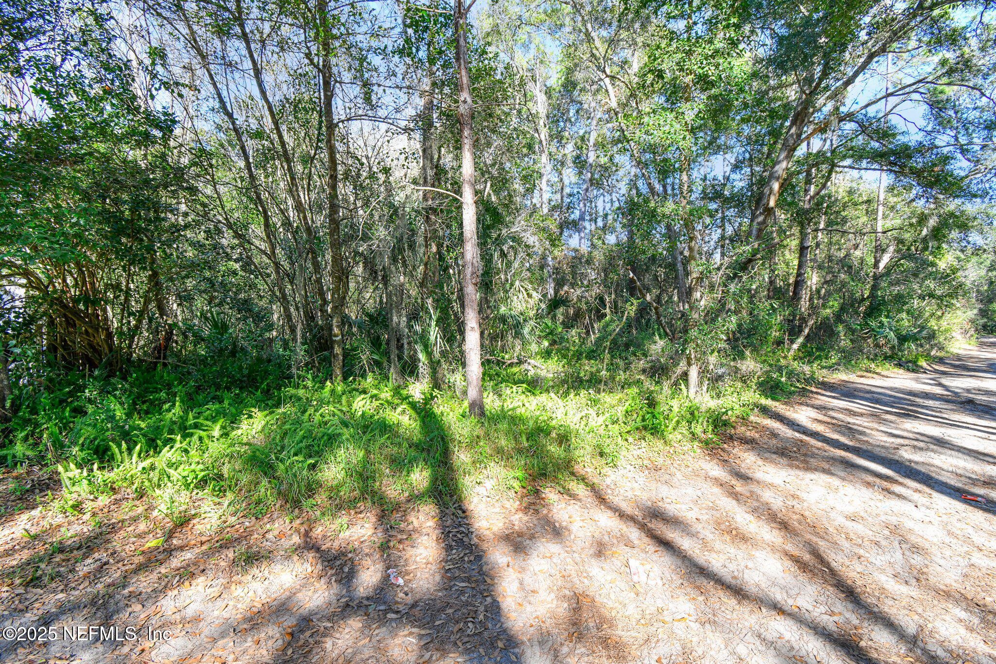 0 McLaurin Road Jacksonville, FL 32256 - Photo 3 of 4 a view of a yard with plants and large trees