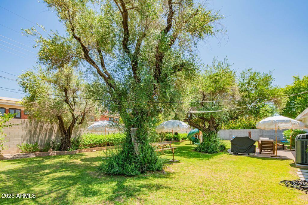 3234 East Coolidge Street Phoenix, AZ 85018 - Photo 21 of 24 Backyard 2