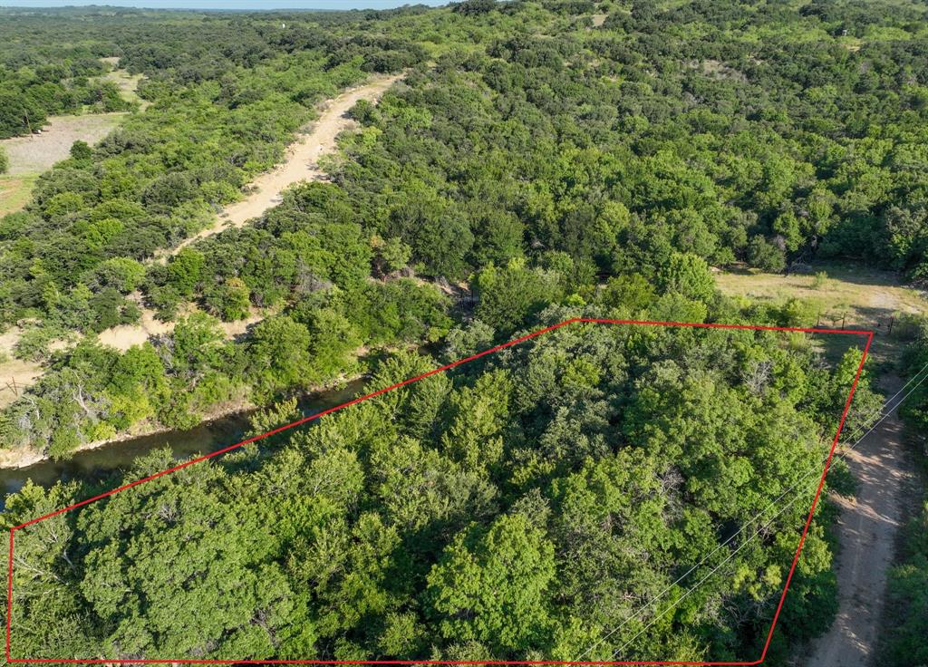 707 Trail End Clyde, TX 79510 - Photo 5 of 16 a view of a lush green forest with a lush green forest