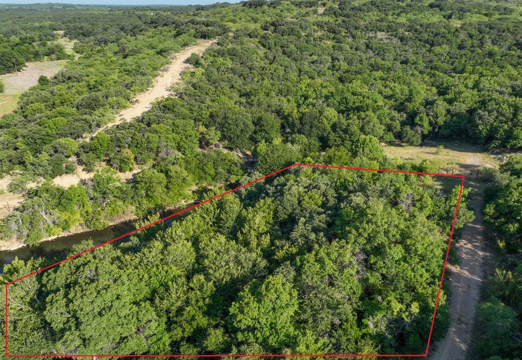 707 Trail End Clyde, TX 79510 - Photo 6 of 16 a view of a lush green forest with lots of trees
