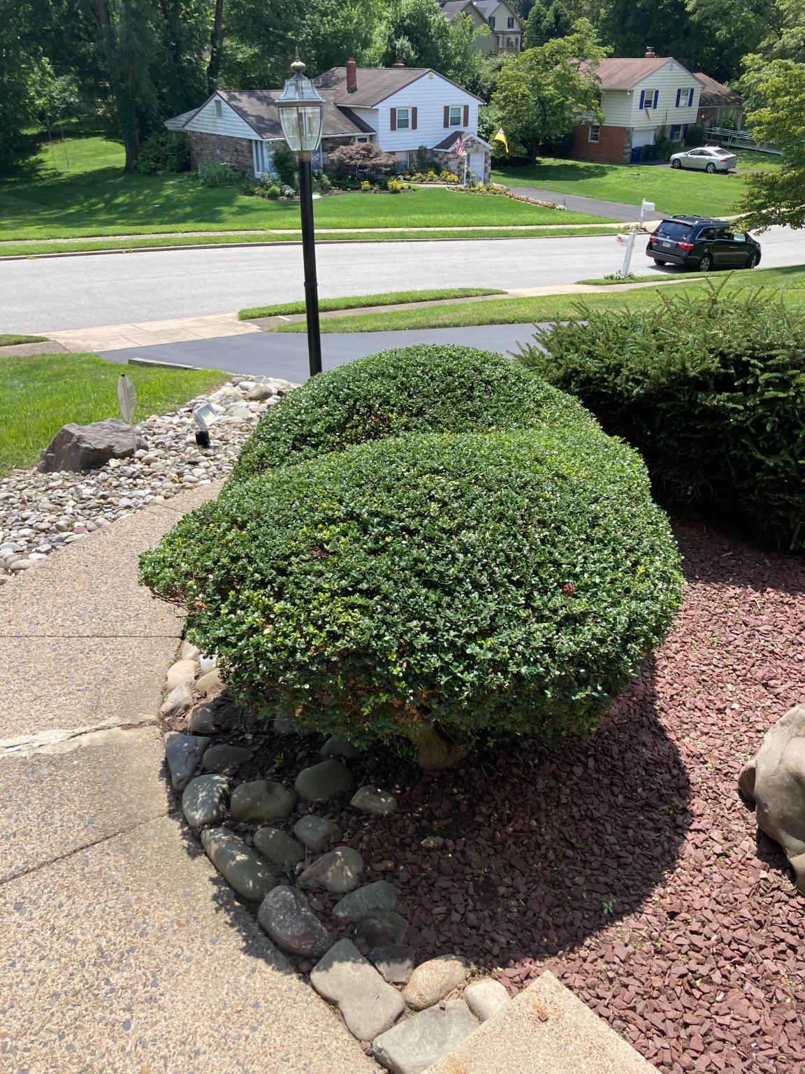 1180 Ballytore Road Huntingdon Valley, PA 19006 - Photo 37 of 41 Greenery frames a welcoming path.