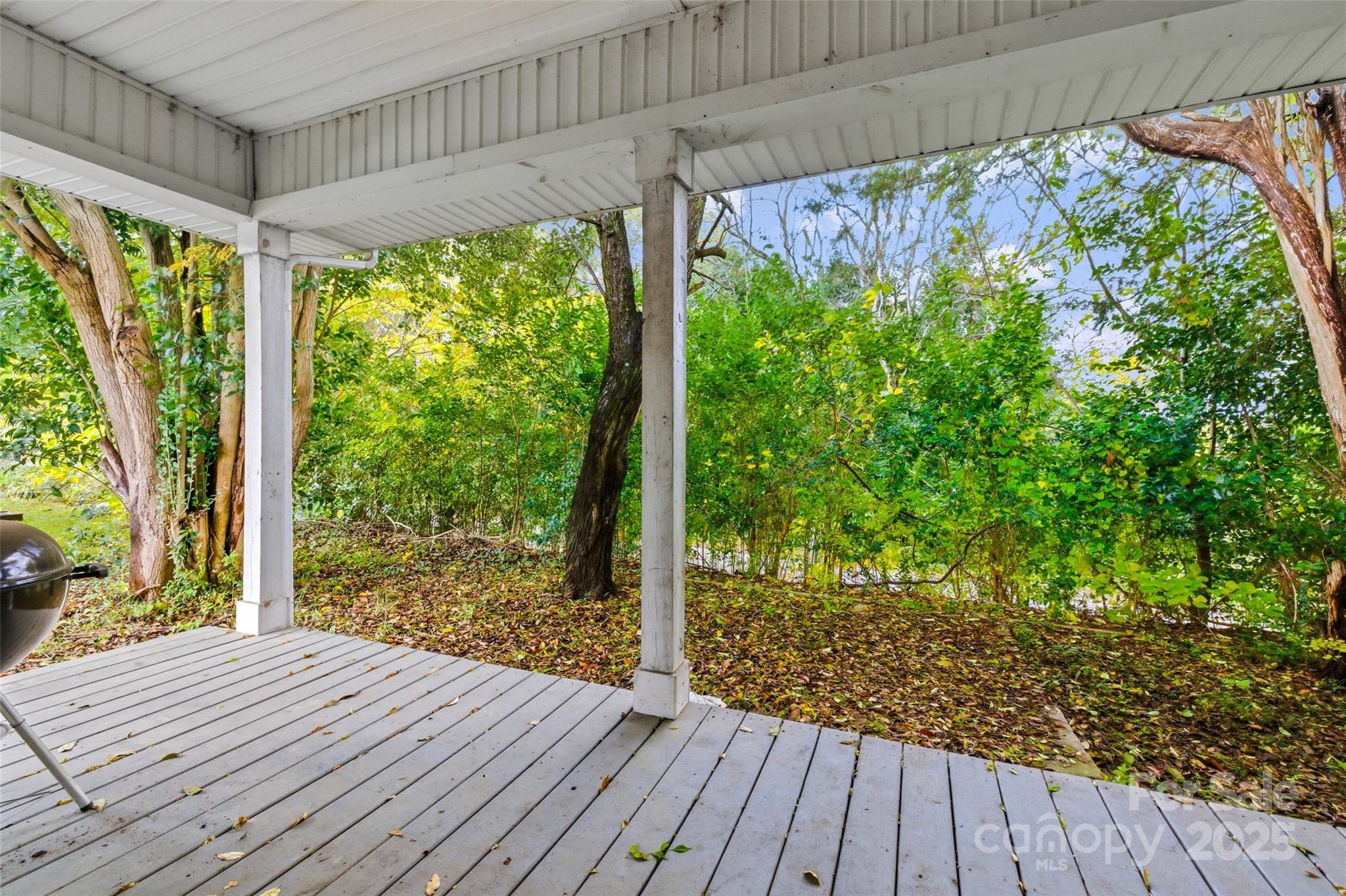 1257 Springdale Road Lancaster, SC 29720 - Photo 27 of 29 a view of backyard with green space