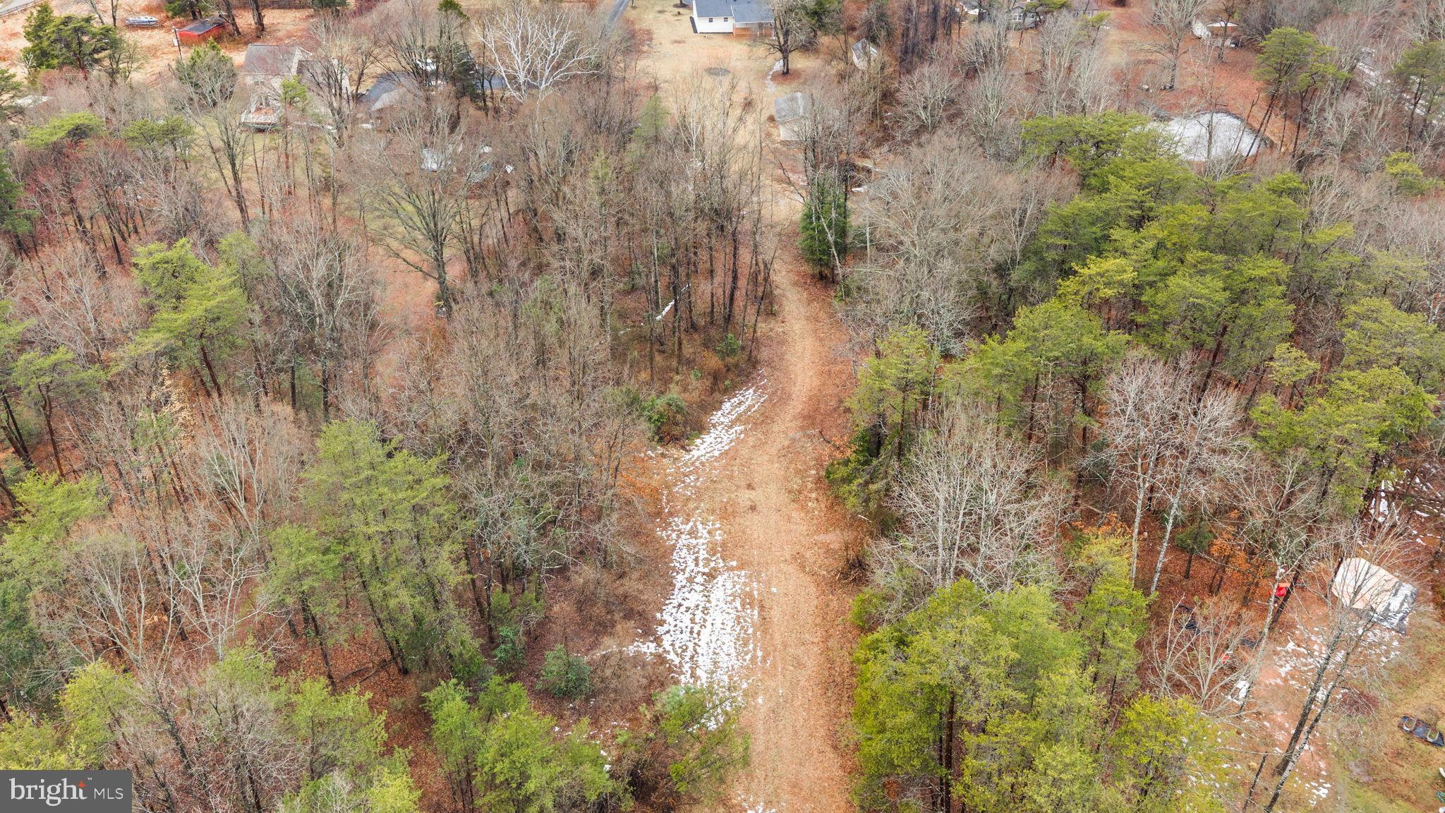 10789 Brent Town Road Catlett, VA 20119 - Photo 52 of 55 Serene woodland path through nature's embrace.