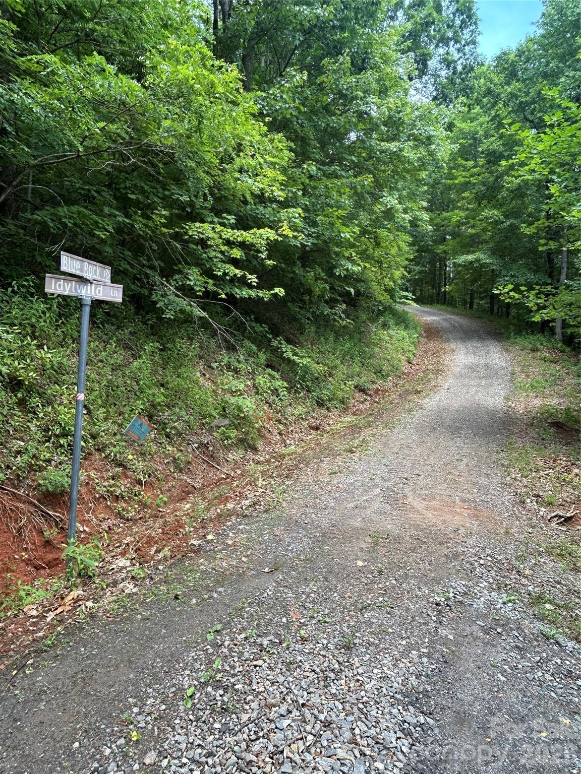 8 Carls Cove Road Hendersonville, NC 28792 - Photo 25 of 25