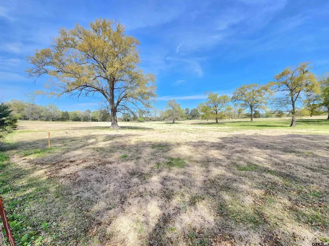 a view of dirt field with trees