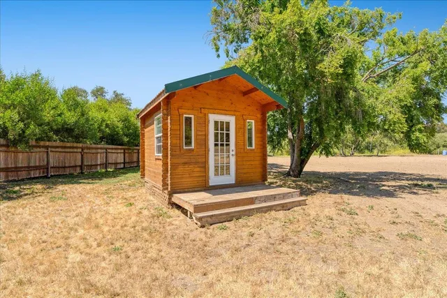 a view of backyard with tree