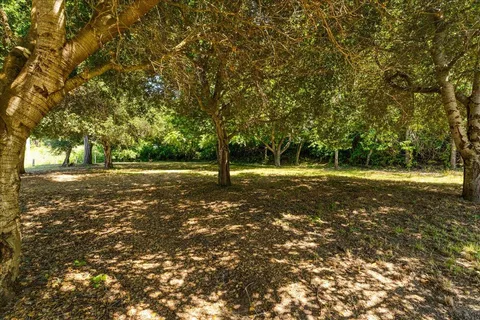 a view of backyard with green space