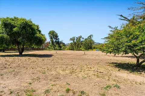 a view of empty space with trees