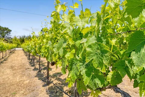 a sign that is sitting in front of flowers