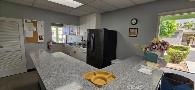 a living room with furniture potted plant and a window
