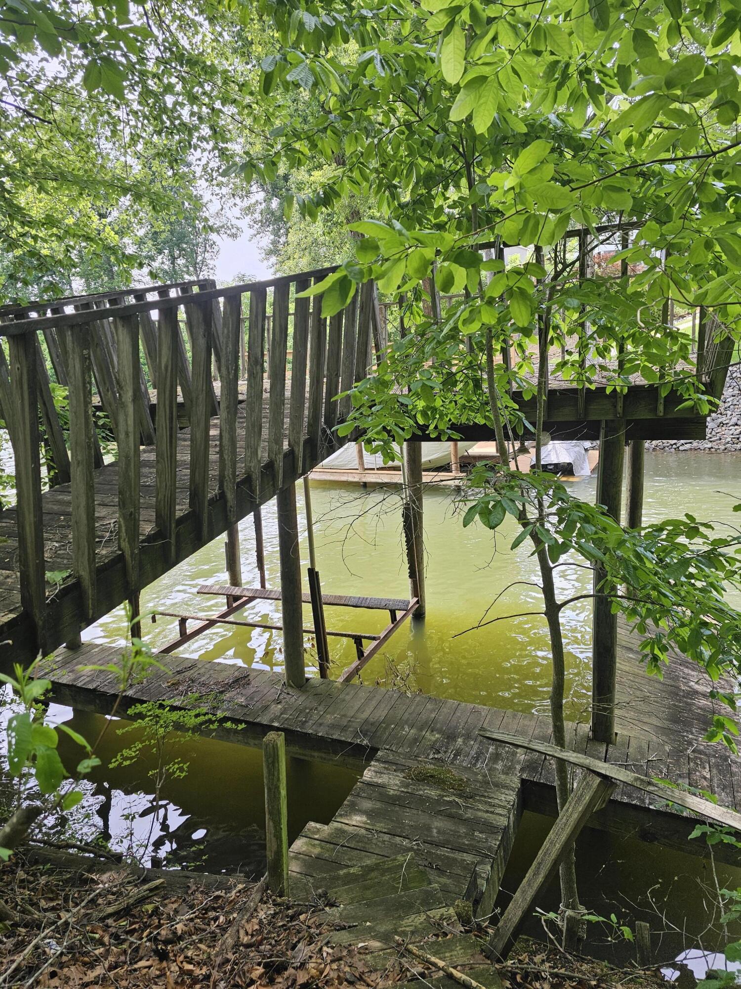 145 Carlos Road Union Hall, VA 24176 - Photo 3 of 17 a view of a swimming pool with a patio and plants