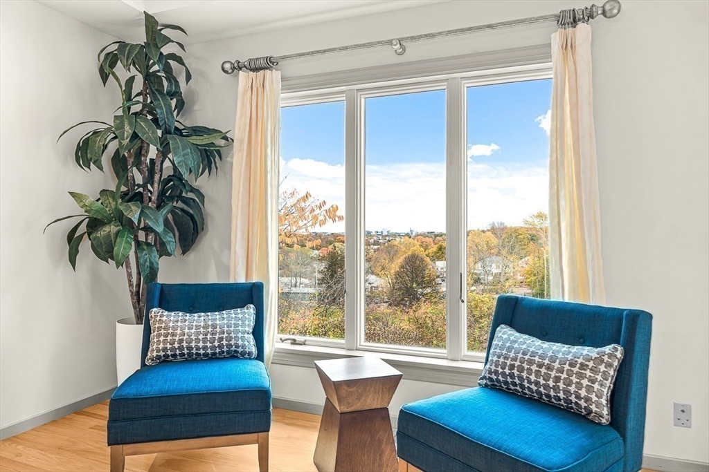 67 Algonquin Road, Unit 67 Newton, MA 02467 - Photo 11 of 38 a living room with furniture and a potted plant