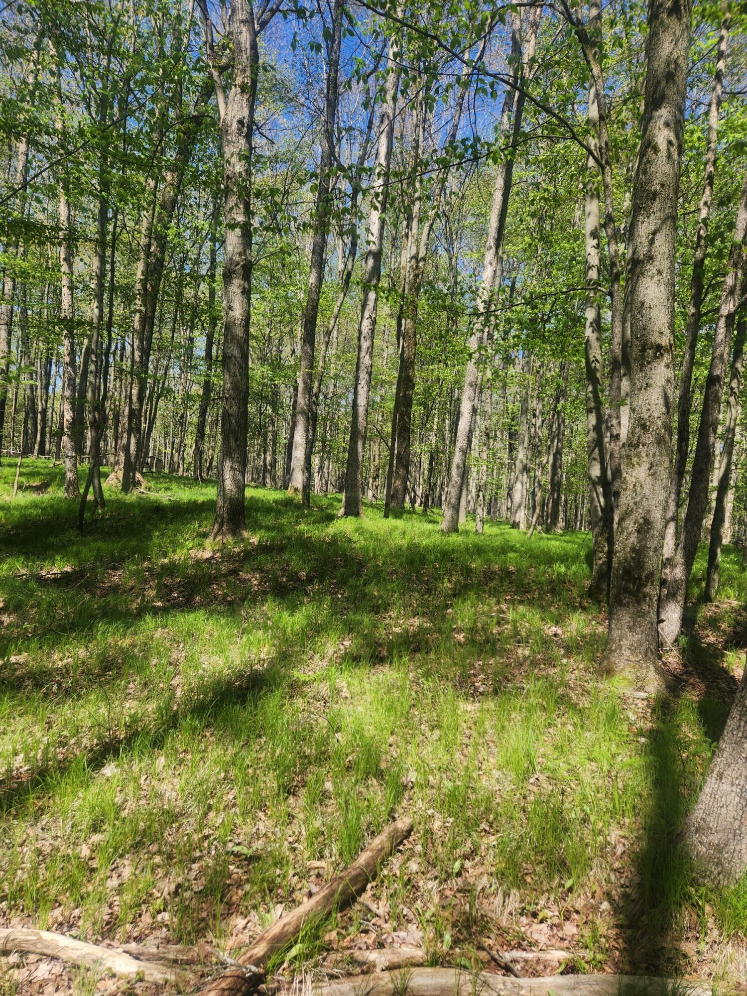 5099 East 17 Mile Road Reed City, MI 49677 - Photo 36 of 40 20250516_112201