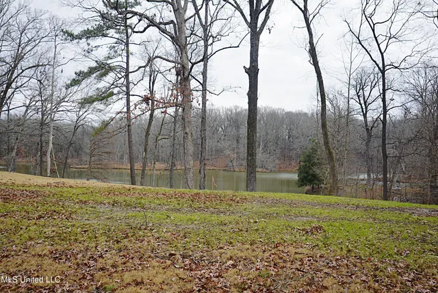 $75,000 | 5360 Sportsman Drive, Nesbit, MS 38651