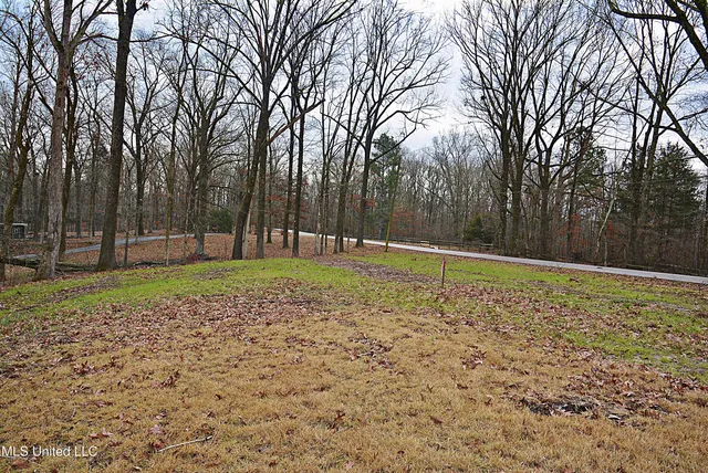 $75,000 | 5360 Sportsman Drive, Nesbit, MS 38651