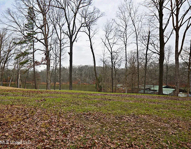 $75,000 | 5360 Sportsman Drive, Nesbit, MS 38651