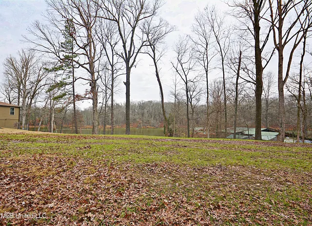 $75,000 | 5360 Sportsman Drive, Nesbit, MS 38651