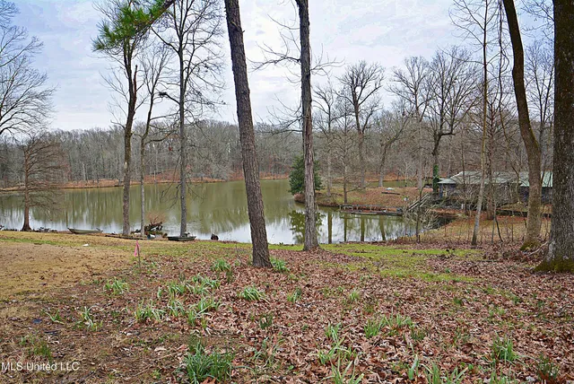$75,000 | 5360 Sportsman Drive, Nesbit, MS 38651