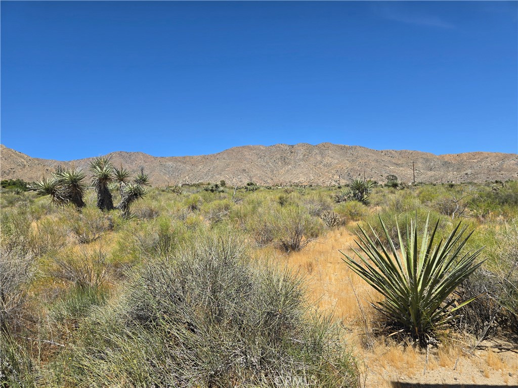 5 Apache Morongo Valley Morongo Valley, CA 92256 - Photo 3 of 7