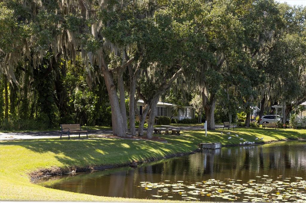 3502 Rita Place Ellenton, FL 34222 - Photo 41 of 46 a view of swimming pool with yard