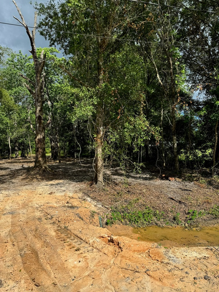 Lot 3 Causey Road Wewahitchka, FL 32465 - Photo 2 of 13