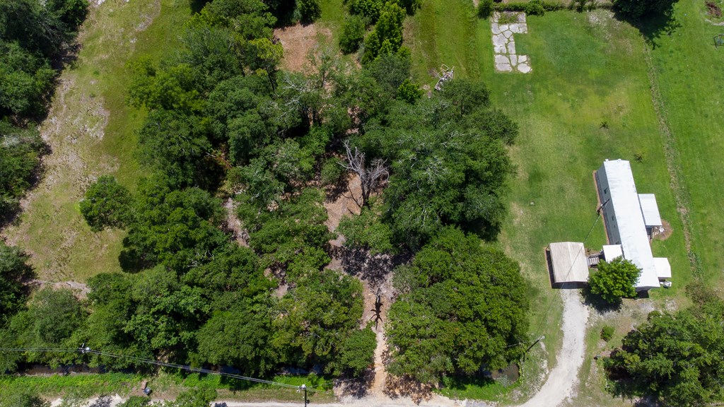 Lot 3 Causey Road Wewahitchka, FL 32465 - Photo 3 of 13