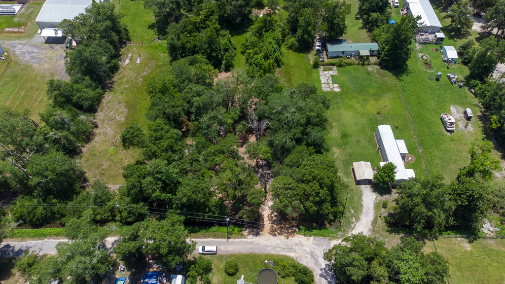 Lot 3 Causey Road Wewahitchka, FL 32465 - Photo 4 of 13