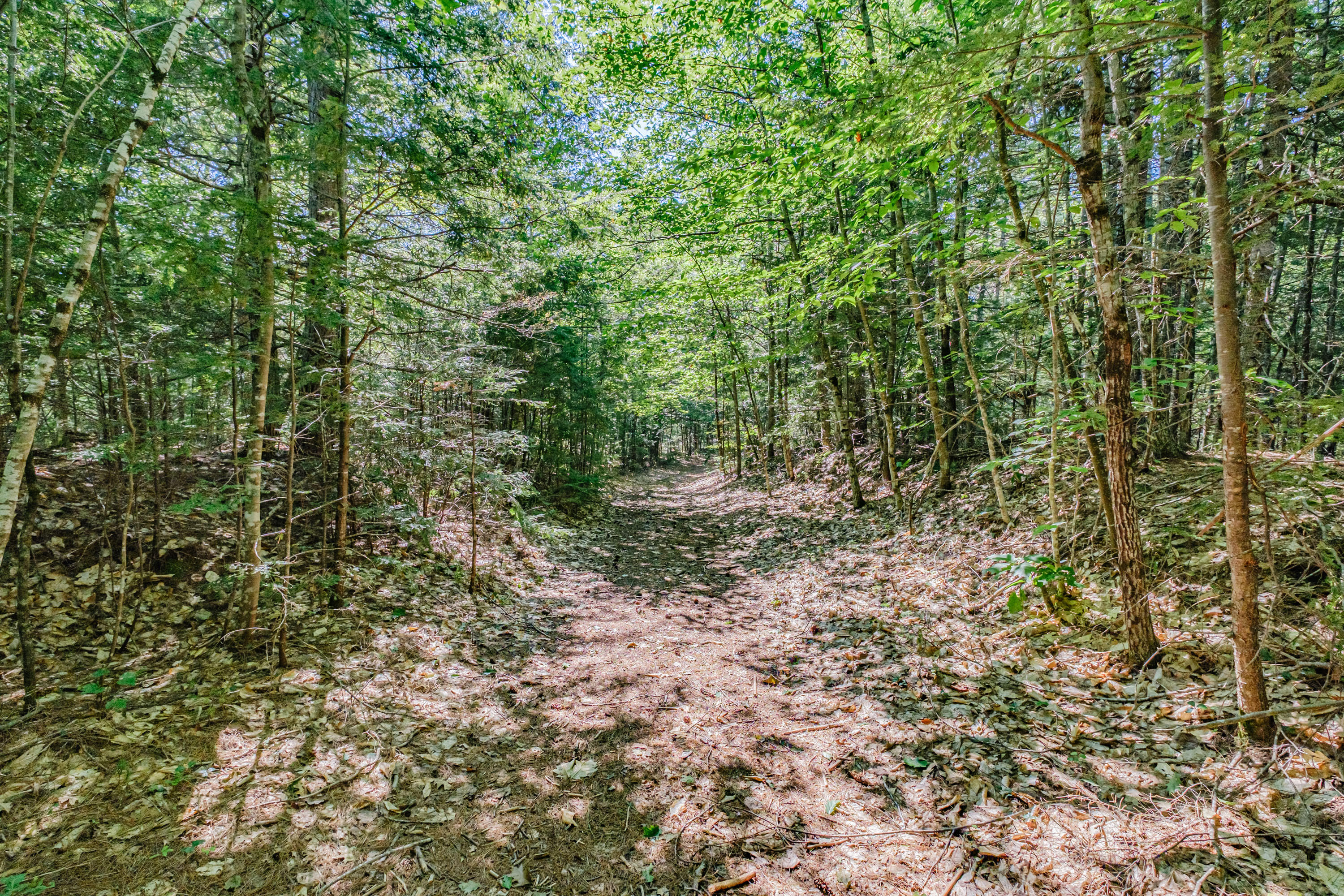 Lot 22 A Forest Denmark, ME 04022 - Photo 2 of 11 BF3D86DE-8DF8-4F54-91D8-CF0C75DA382A