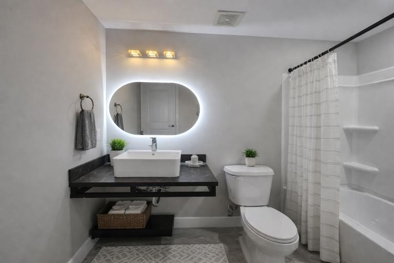 543 Peachers Mill Road Clarksville, TN 37042 - Photo 21 of 29 a bathroom with a toilet a sink and a mirror