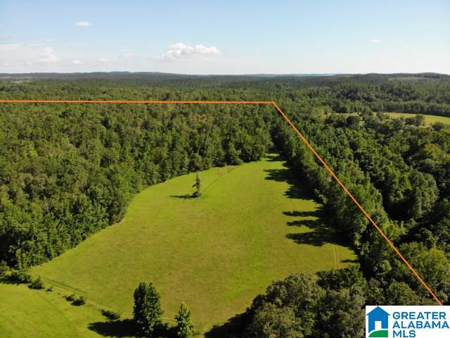 0 Antler Loop Rockford, AL 35136 - Photo 12 of 12
