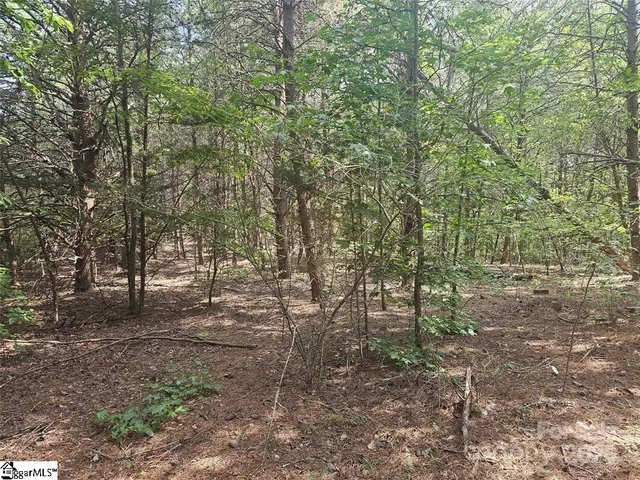 $349,900 | 0 East Green Creek Drive, Tryon, NC 28782