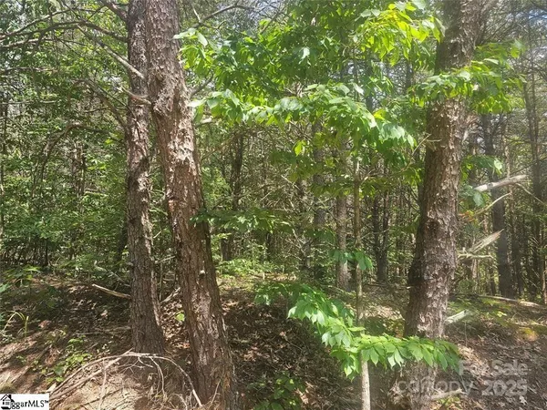 $349,900 | 0 East Green Creek Drive, Tryon, NC 28782