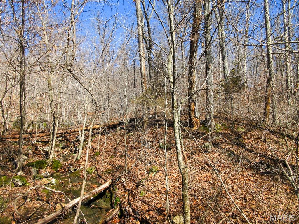 10331 Hopkins Road Potosi, MO 63664 - Photo 39 of 76