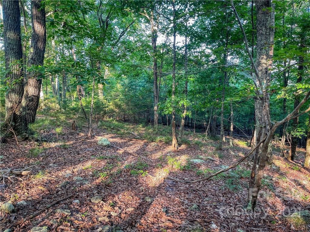 2225 Sierra Trace Road, Unit 50 Denton, NC 27239 - Photo 11 of 11 Gallery Image 11