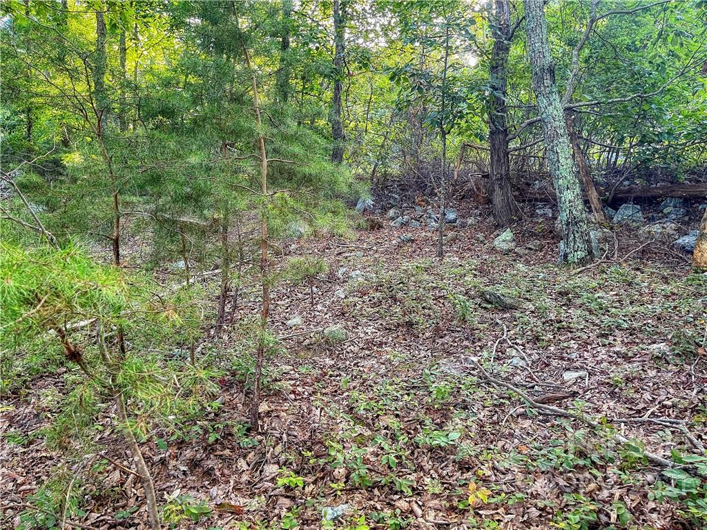 2225 Sierra Trace Road, Unit 50 Denton, NC 27239 - Photo 8 of 11 Gallery Image 8