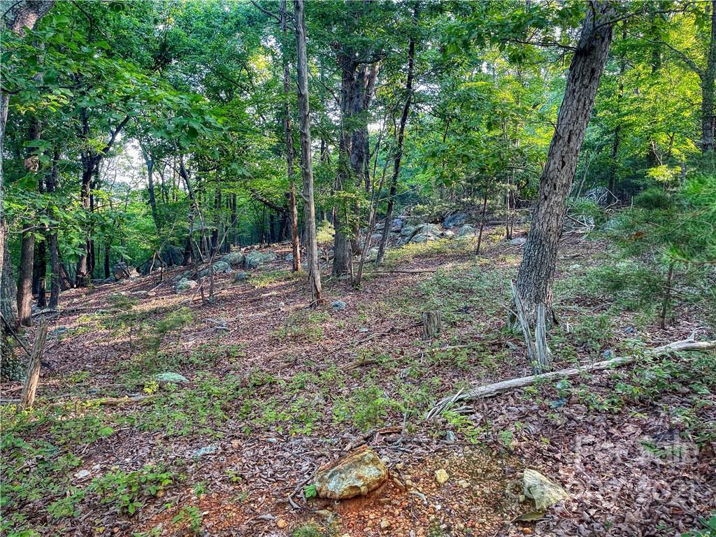 2225 Sierra Trace Road, Unit 50 Denton, NC 27239 - Photo 9 of 11 Gallery Image 9