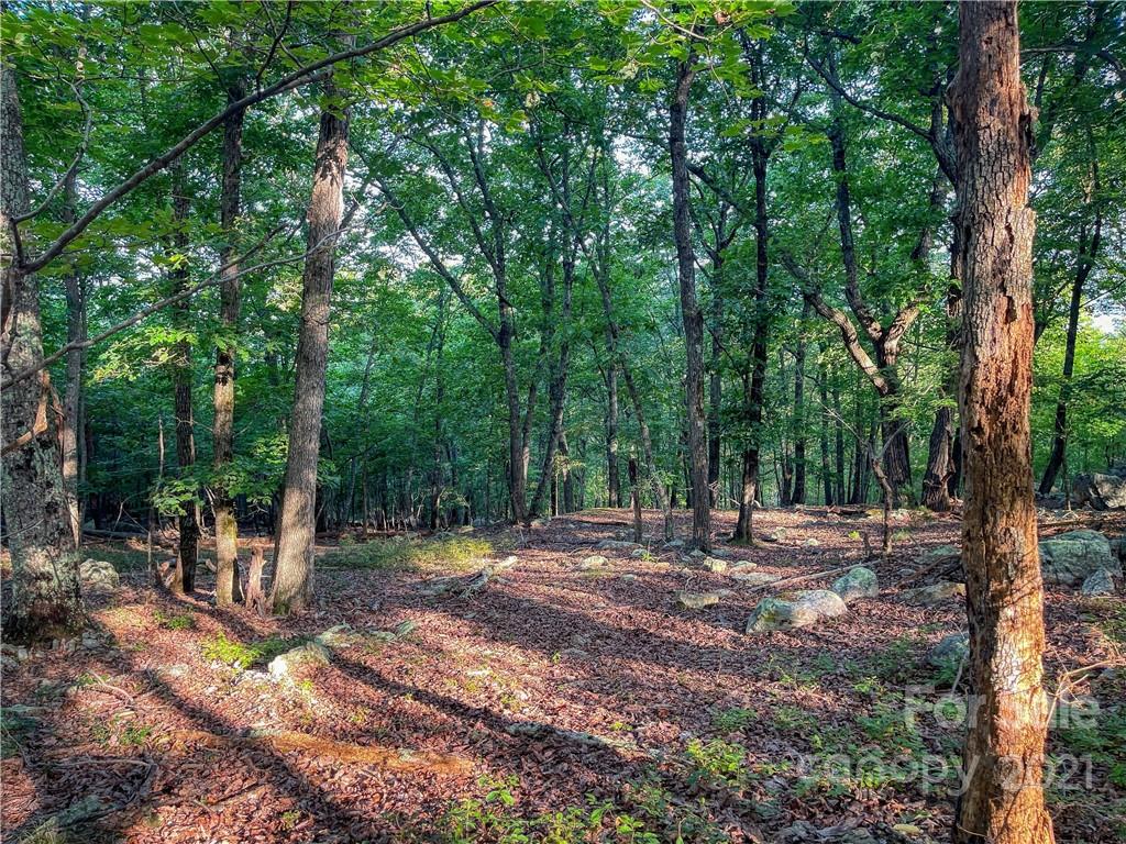 2225 Sierra Trace Road, Unit 50 Denton, NC 27239 - Photo 10 of 11 Gallery Image 10